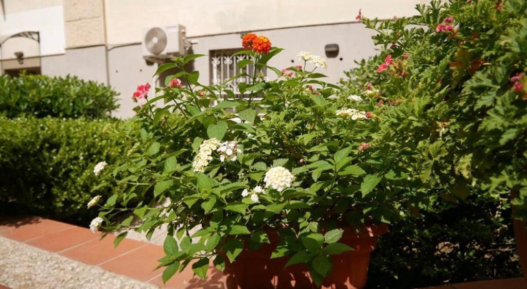 House With Garden And Parking Space In Mergellina Napoli Esterno foto